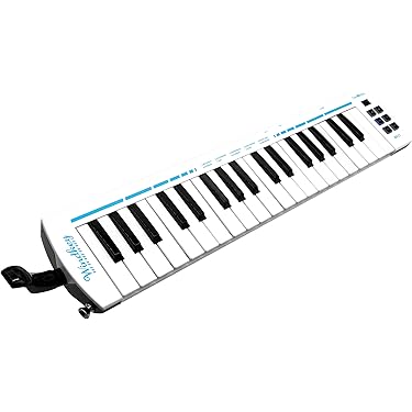 管楽器・吹奏楽器 ARTISAN AP190 Nekomushi3 管楽器フェスタ広島会場2022特選楽器】須川展也氏＆本田雅人氏